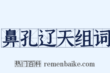 鼻孔辽天组词是什么意思的图片